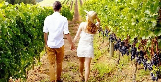 Néméa Stadium 3* Mérignac